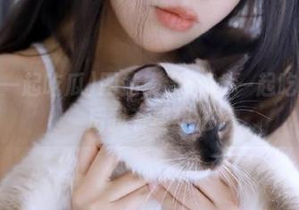 网站交锋：17一起吃瓜之后我有些想法