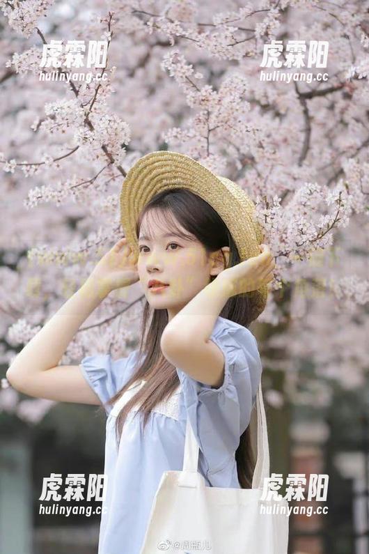 www.51cg.fun，一键下载，轻松掌握“八卦”领域的每个角落！