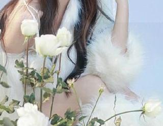 不得不说，“www.fuli24.lv”的资源池简直是个宝藏，也惨到家了！
