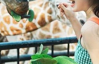 简直是五一黑料正能量！ios用户们的逗比时刻随机上线