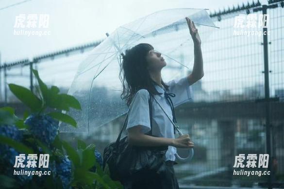 吃瓜网安卓版里暗藏大瓜，快来挖宝！