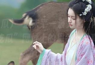 一波未平一波又起，网红们在“最新吃瓜”网址上的恩怨情仇真不小。