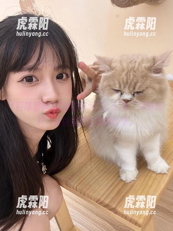 知道的都跑了，只有“网曝黑料”值得我安安静静收藏。