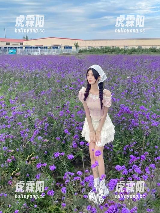 黑料不打烊 51黑料不打烊,首页特供瓜,此刻正是最佳时机